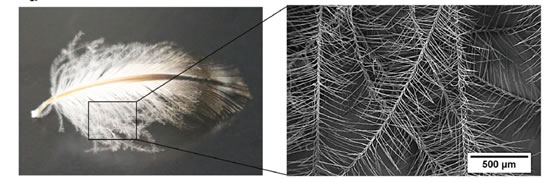 20191008100019_785